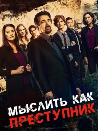 Мыслить как преступник (15 сезон) (2020)