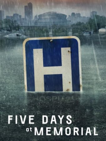 Пять дней после катастрофы (1 сезон: 1-8 серии из 8) (2022)