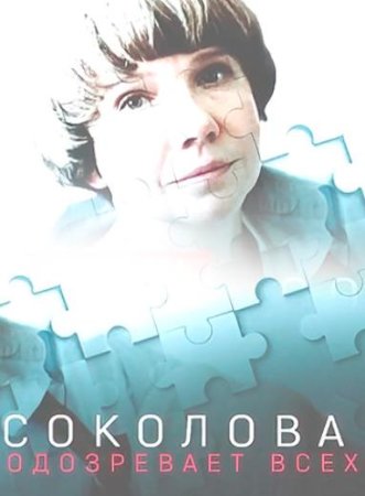 Соколова подозревает всех (1-4 сезон: 1-14 серии из 14) (2023)
