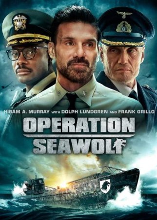 Операция «Морской волк» (2022)