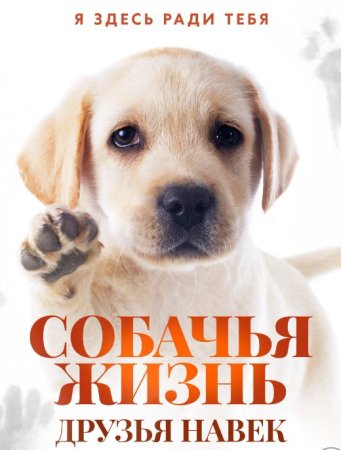 Собачья жизнь: Друзья навек (2023)