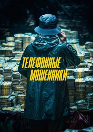 Телефонные мошенники (2024)