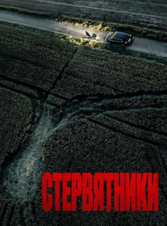 Стервятники 2025)